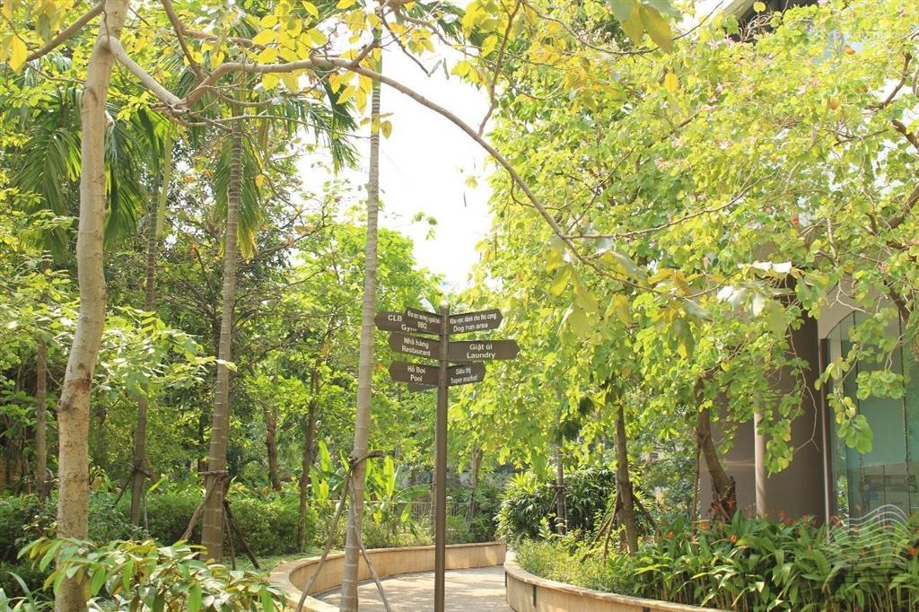 Cho thuê chung cư city garden bình thạnh, gần chân cầu sài gòn dt 140m2 giá 50tr/th 3pn 2wc