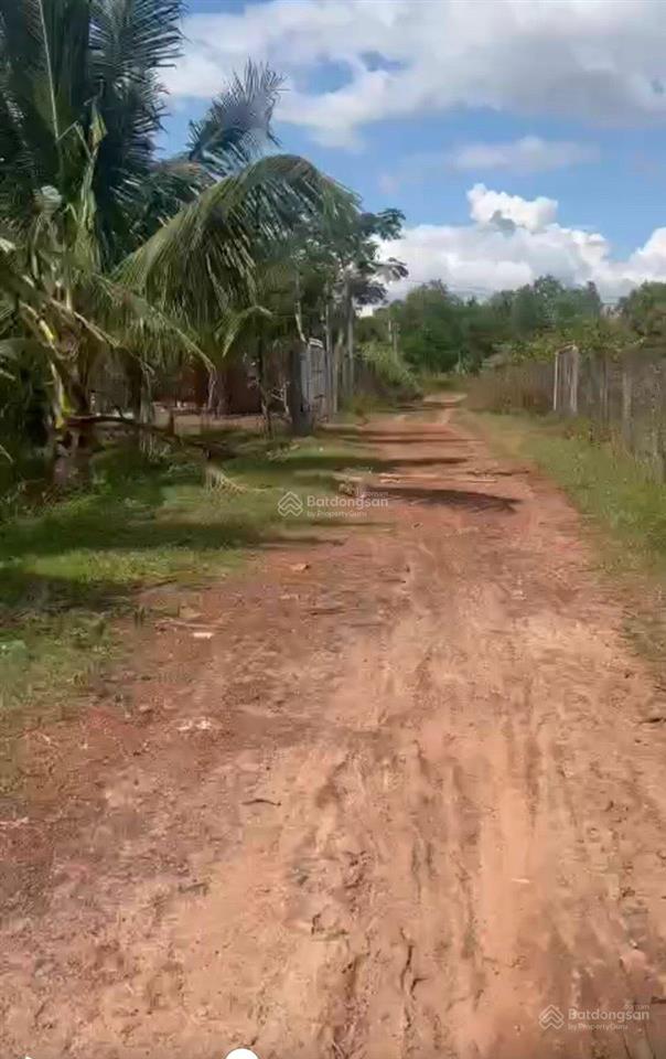 Bán đất tại thái bình, châu thành, tây ninh, 450 triệu vnd, 402 m2, giá siêu hời, uy tín