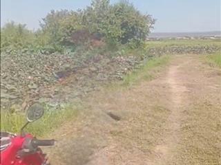 Đất 8800 m2 mà 10 sổ có thể hiện đường, oto tận nơi, chỉ 70.000đ/m.