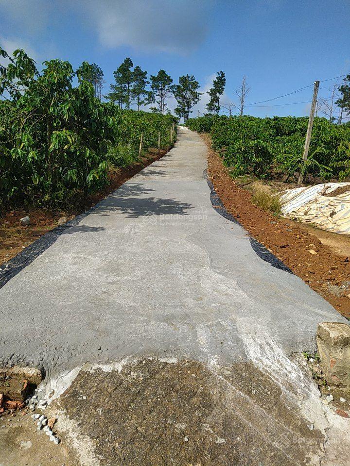 10.600m2 chỉ 780.000/m2 ngay khu trung tâm homestay xã nam hà, lâm hà, lâm đồng