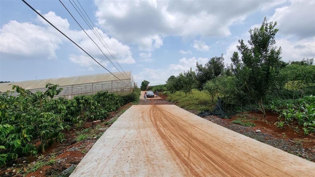 10.600m2 chỉ 780.000/m2 ngay khu trung tâm homestay xã nam hà, lâm hà, lâm đồng