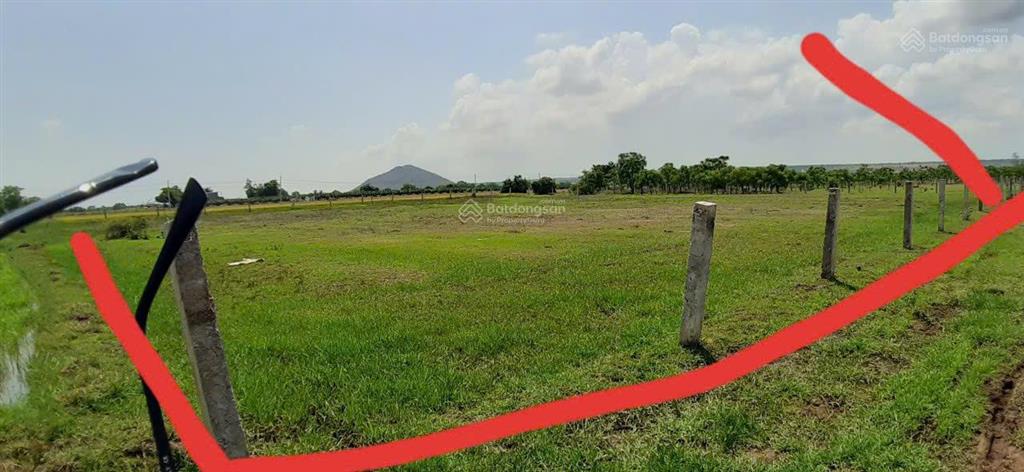 Chỉ 360 triệu cả sổ, đất hồng liêm quy hoạch đất ở, cách ql1 chỉ 800m