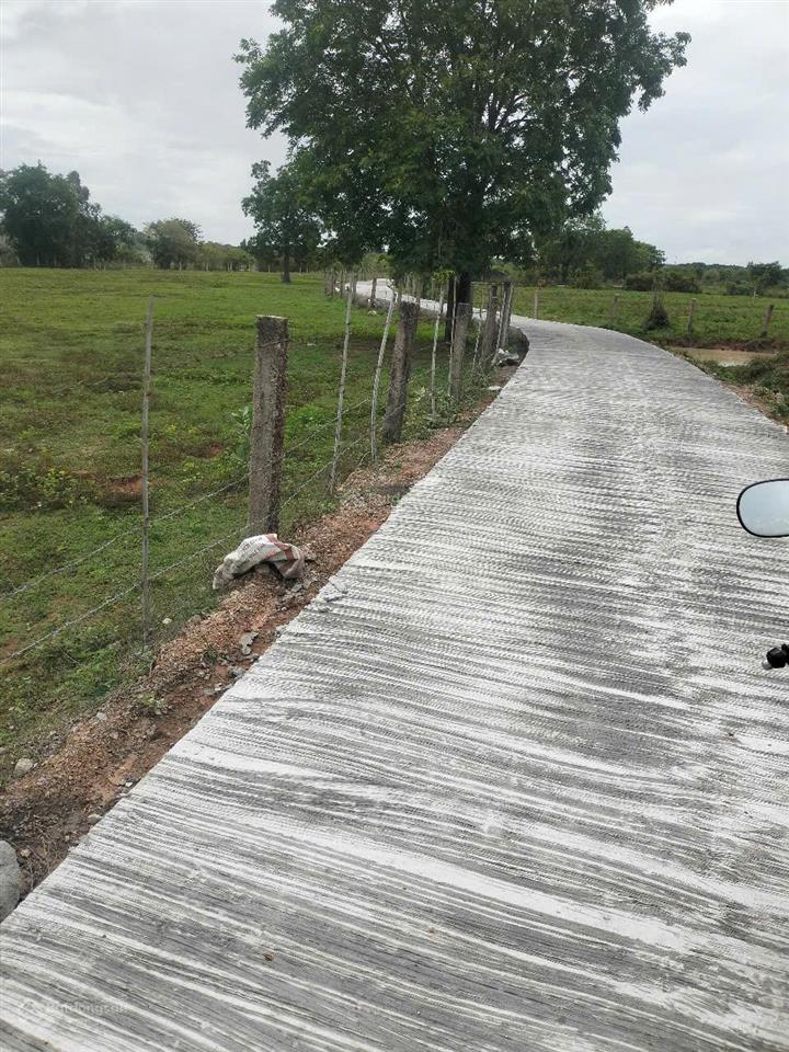 Bán 1000m2 đất cách ql chỉ 400m, bê tông, ô tô tận nơi, 195 triệu à, rẻ