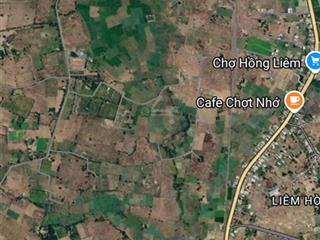 Bán đúng 55.000/m2 cho 2 hecta đất trồng cây, cách ql 1 chỉ 900m (chính chủ)