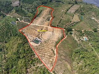 4.4 héc easin krongbuk . vừa xuống cà phê và sầu riêng. giá rẻ.