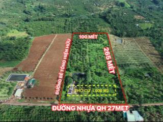 Bán rẫy sầu riêng 2,64ha 100m mặt tiền đường nhựa sẵn 1.000m2 thổ cư