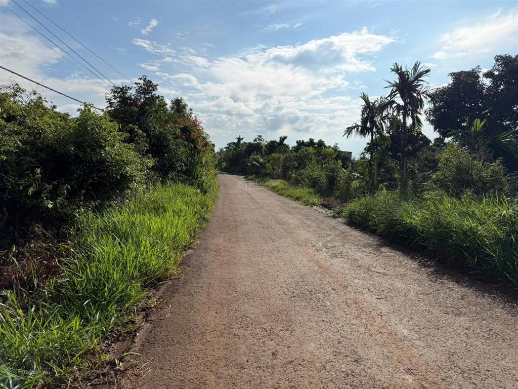 Bán rẫy sầu riêng 2,64ha 100m mặt tiền đường nhựa sẵn 1.000m2 thổ cư
