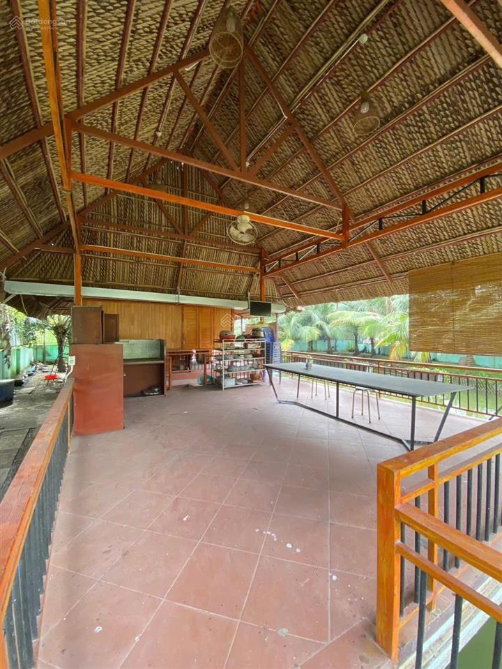 Nhà vườn ngay sông rạch dơi 653m2 sẵn vườn ao cây ăn trái thích hợp làm nơi nghỉ dưỡng cuối tuần