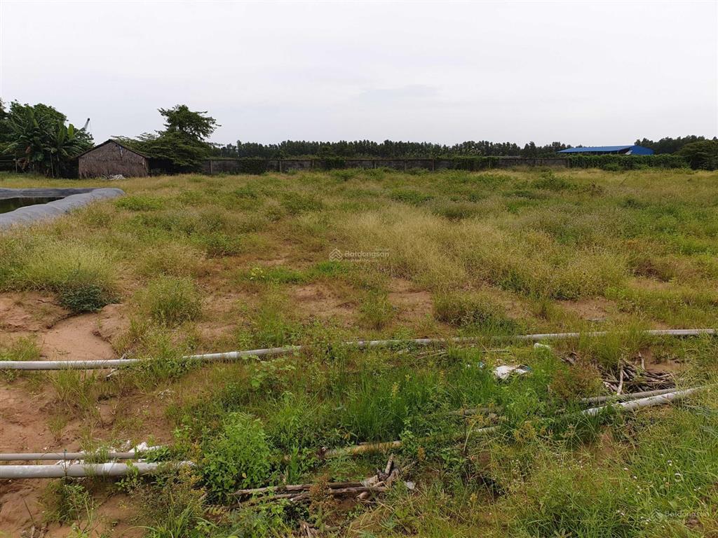 Bán đất khu công nghiệp thủ thừa long an 10.000m2