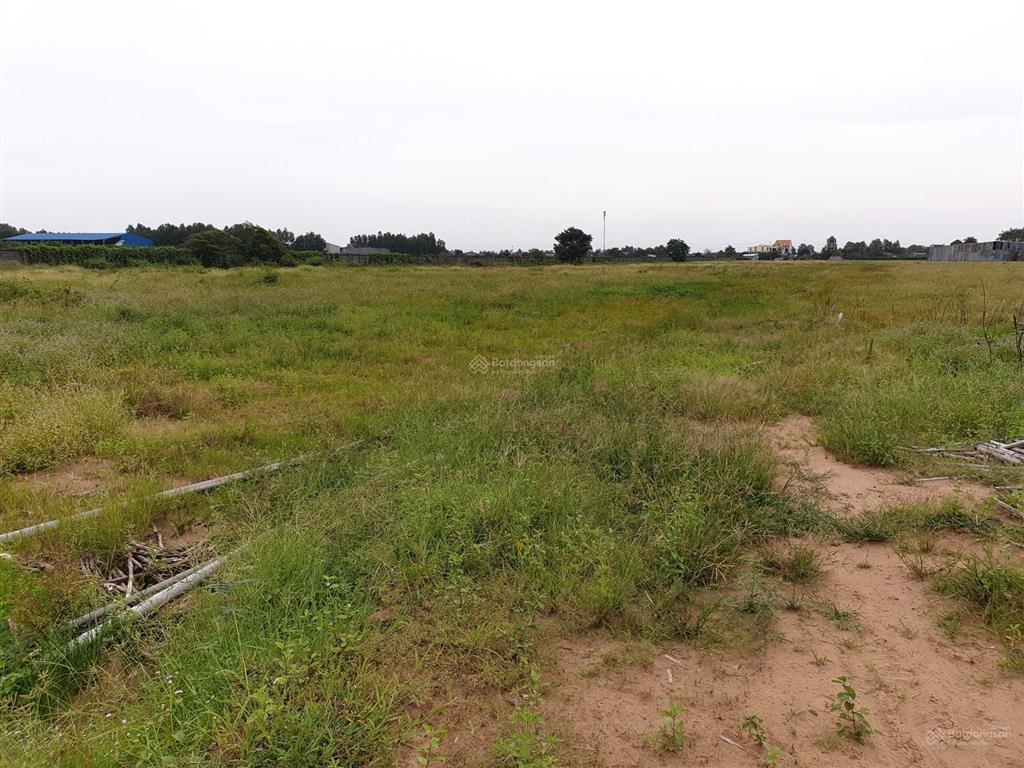 Bán đất khu công nghiệp thủ thừa long an 10.000m2
