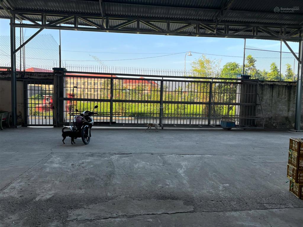 Cho thuê kho xưởng bến lức tây ninh 3000m2