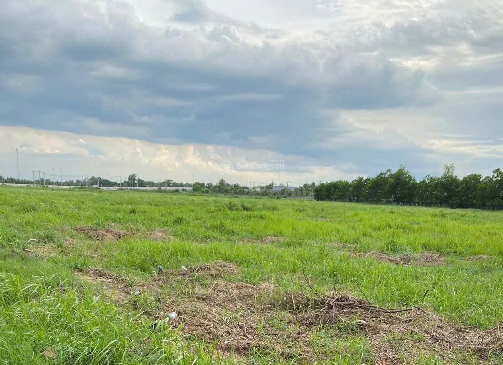 Bán đất cụm công nghiệp phường khánh hậu tây ninh, 24000m2