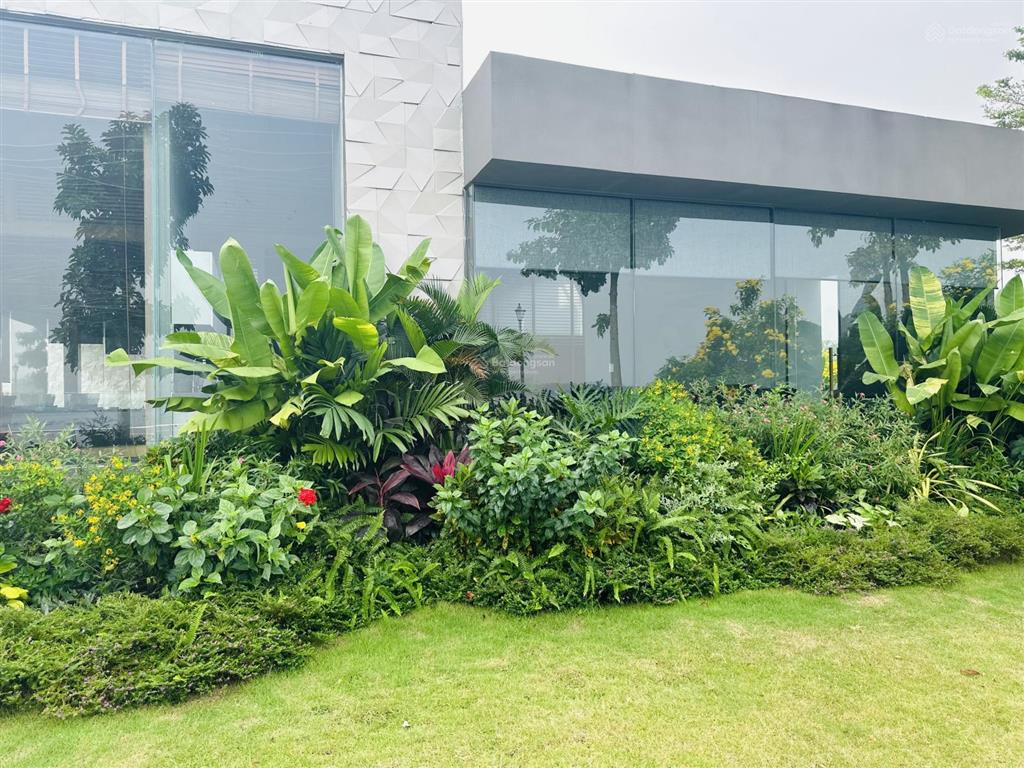 Độc quyền biệt thự sông king bay 450m2 giá 32 tỷ.  0968 144 *** yomi thổ địa king bay