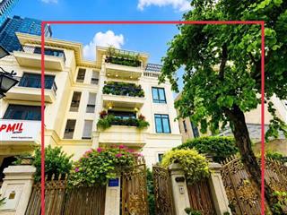 Cô mình cần bán căn biệt thự bason mặt tiền công viên cách 100m ra sồn cạnh căn gốc 260 tỷ