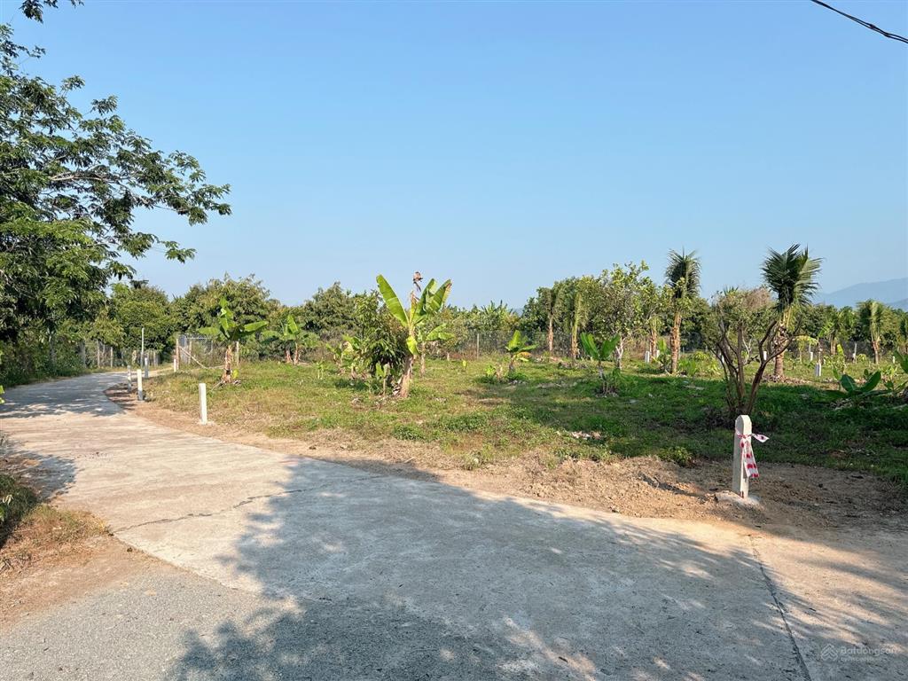 Bán đất thổ cư cách đường tỉnh lộ 2 chỉ 200m giá cực rẻ thích hợp đầu tư