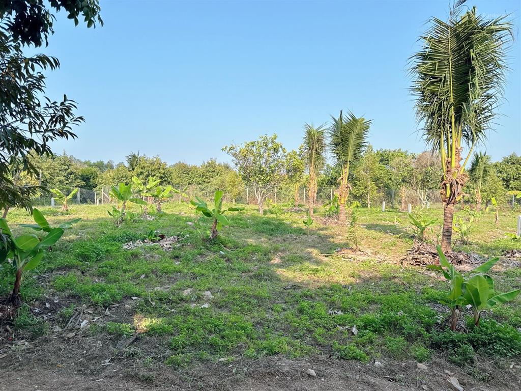 Bán đất thổ cư cách đường tỉnh lộ 2 chỉ 200m giá cực rẻ thích hợp đầu tư
