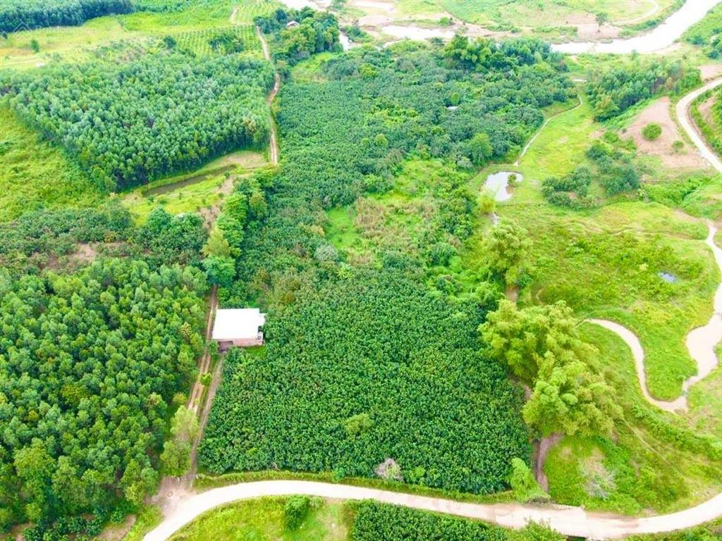 Bán 20000m2 đất có 1000m2 thổ cư sau giáp suối có trang trại bưởi da xanh trên đất