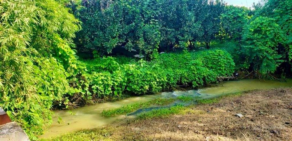 Bán 20000m2 đất có 1000m2 thổ cư sau giáp suối có trang trại bưởi da xanh trên đất