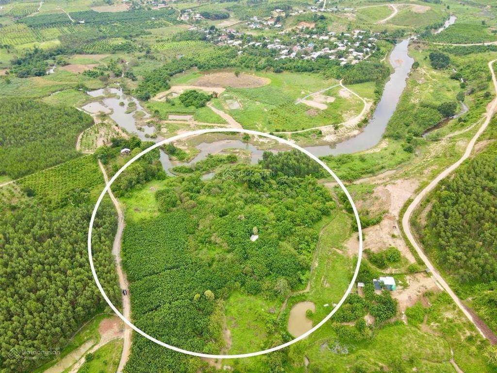 Bán 20000m2 đất có 1000m2 thổ cư sau giáp suối có trang trại bưởi da xanh trên đất