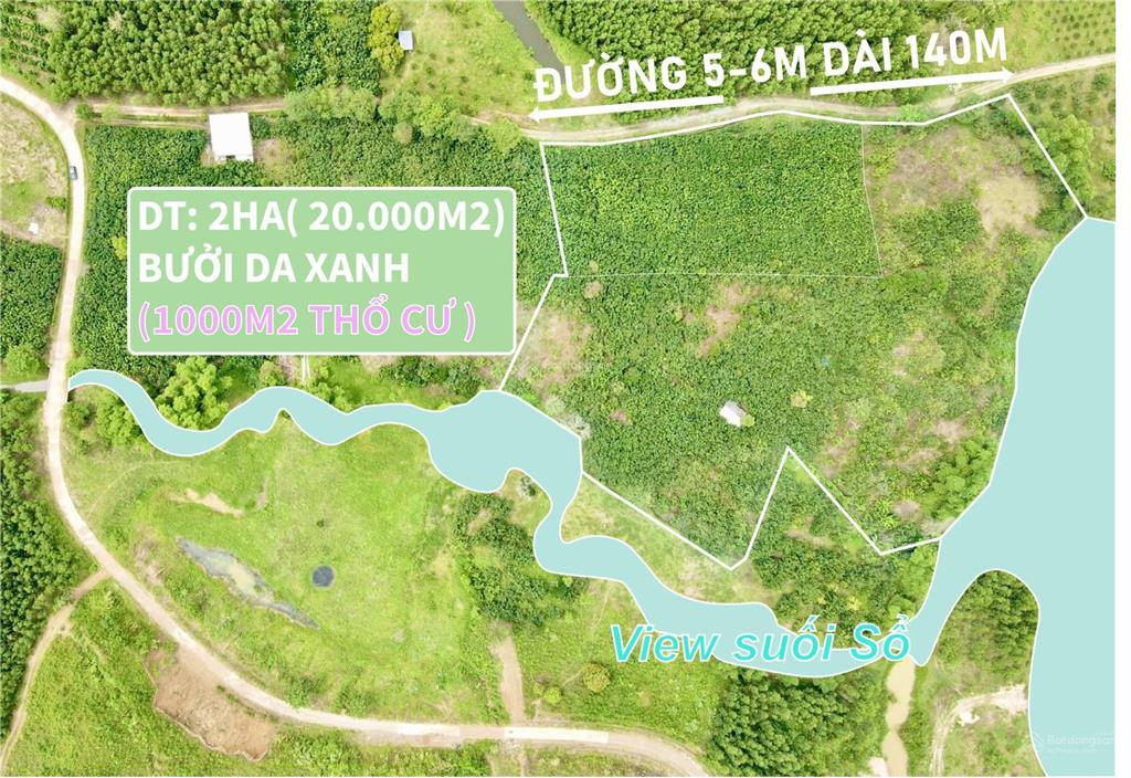 Bán 20000m2 đất có 1000m2 thổ cư sau giáp suối có trang trại bưởi da xanh trên đất