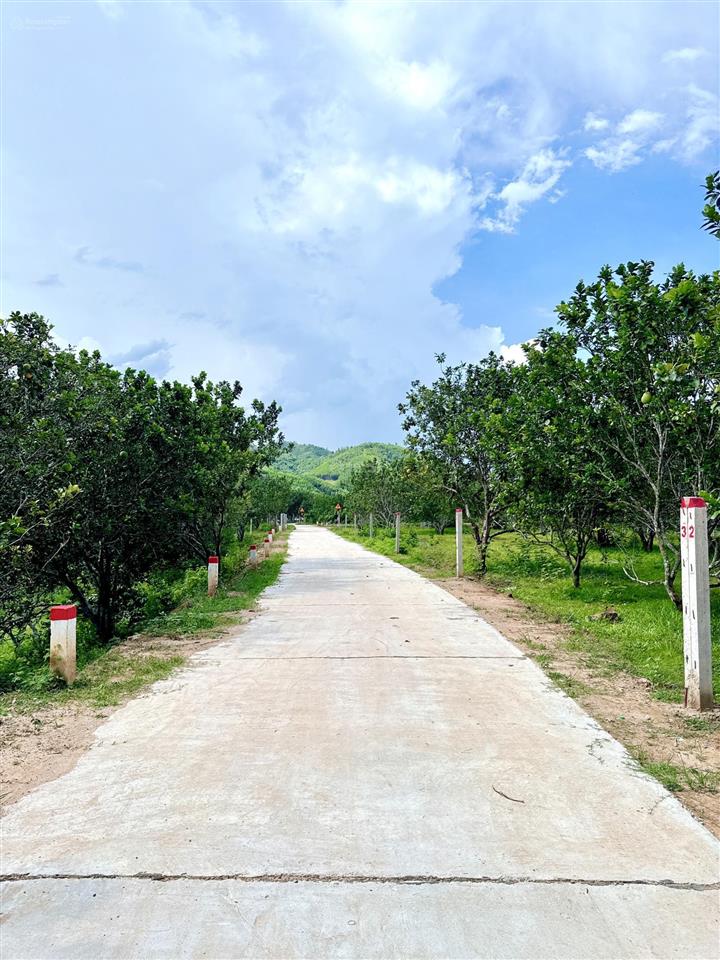 Bán đất thổ cư vườn mít ngang 10m đất đẹp khu dân cư đông đúc