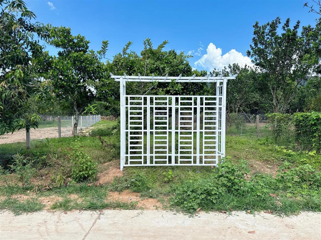 Bán đất thổ cư vườn mít ngang 10m đất đẹp khu dân cư đông đúc