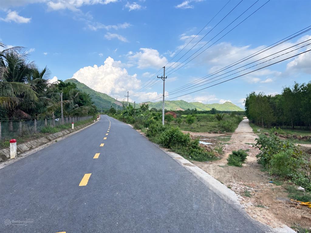 Bán đất diên tân, quy hoạch thổ cư, vị trí cách hl62 chỉ 50m, giá cực rẻ