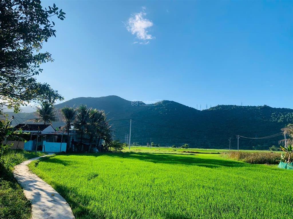 Nhà vườn ninh ích cách suối ba hồ 2,5 km, diện tích 183 m2  100 thổ  nhà dt 70m2 giá 850 tr
