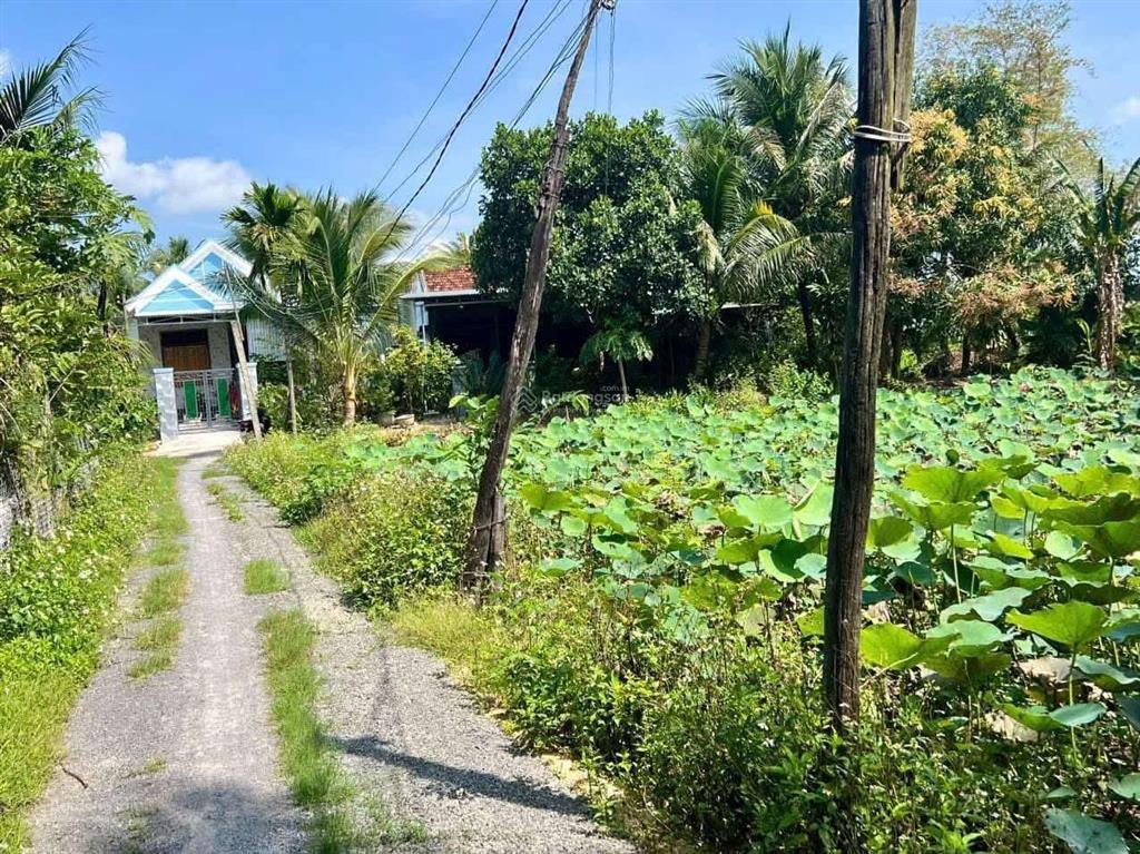 Bán lô đất dt 101,7m2 có thổ  p. ninh đa, ninh hoà  280 tr