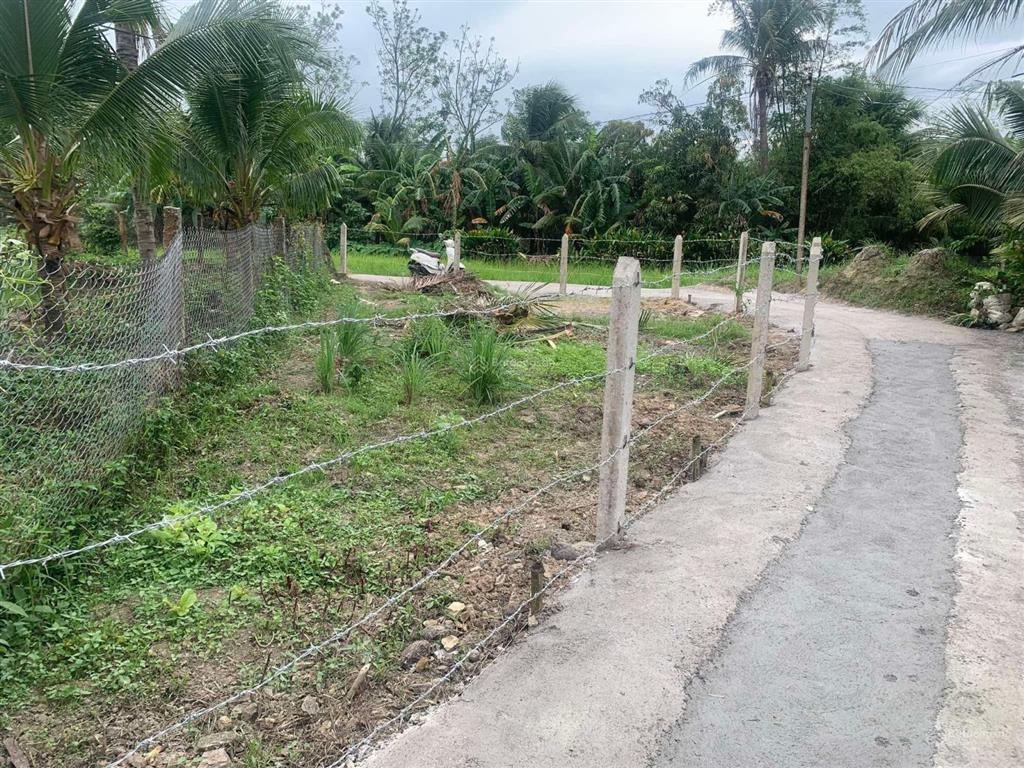 Bán lô đất dt 101,7m2 có thổ  p. ninh đa, ninh hoà  280 tr