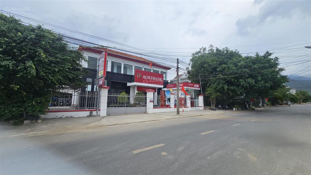 Hàng hiếm trục chính cây dúi ngang hơn 11.45m