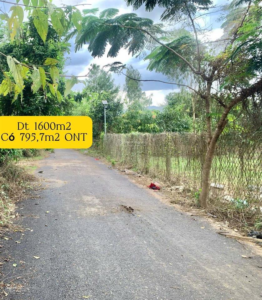 Đất ở nông thôn phước tuy 2 diên phước giá 4 triệu/m2