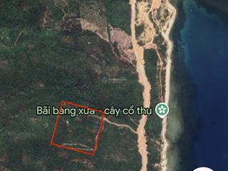 Bán 4.5ha đất rẫy view biển giá (100nghìn/m2)ninh vân, ninh hoà, khánh hoà