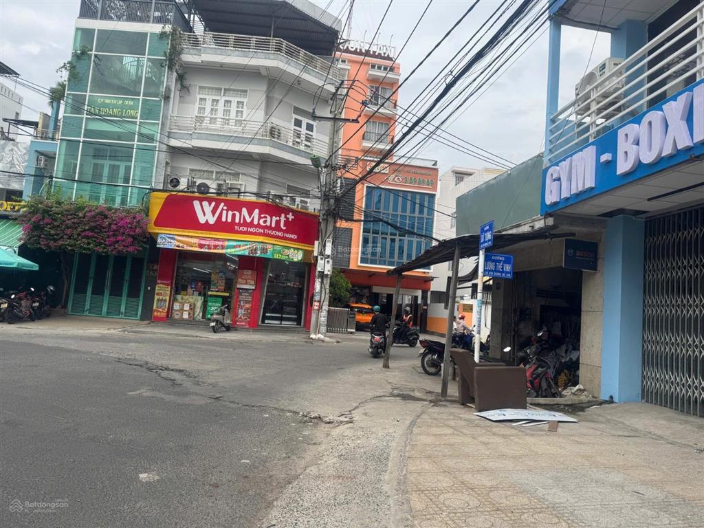 Bán đất lô góc tặng nhà cấp 4 đường dã tượng và lương thế vinh dt 262,9m2