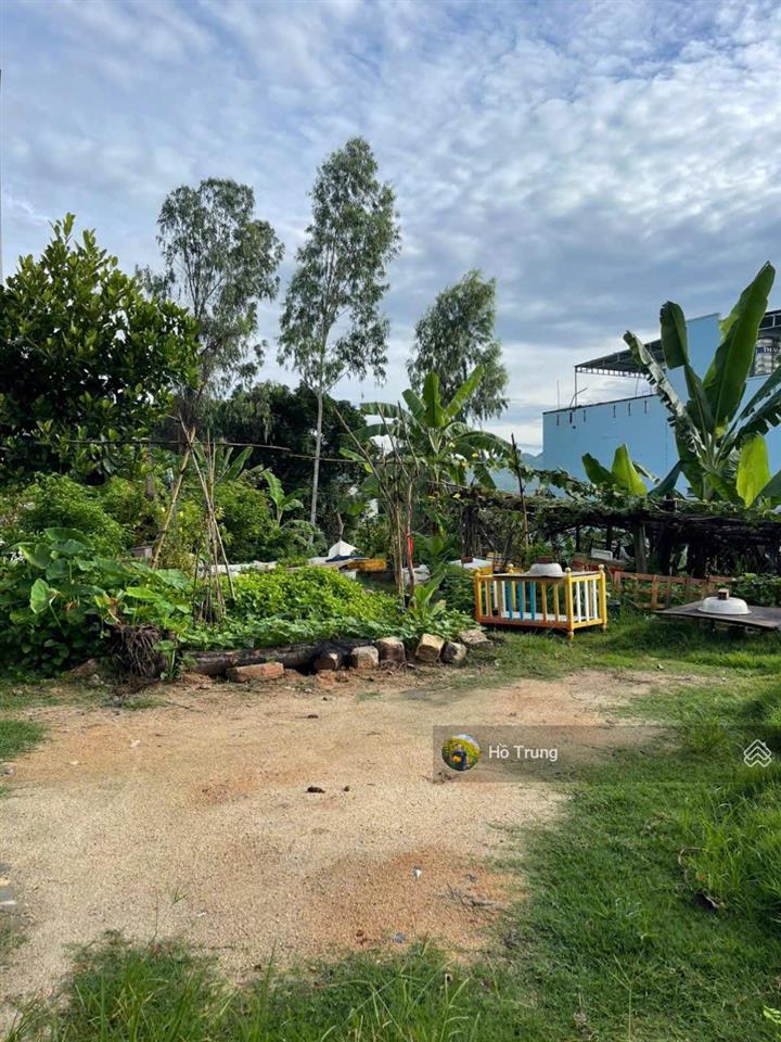 Mảnh đẹp hòn nghê, 505m2 ( 415m2 thổ) ngang 16m, cách biển km 15.6tr/m2