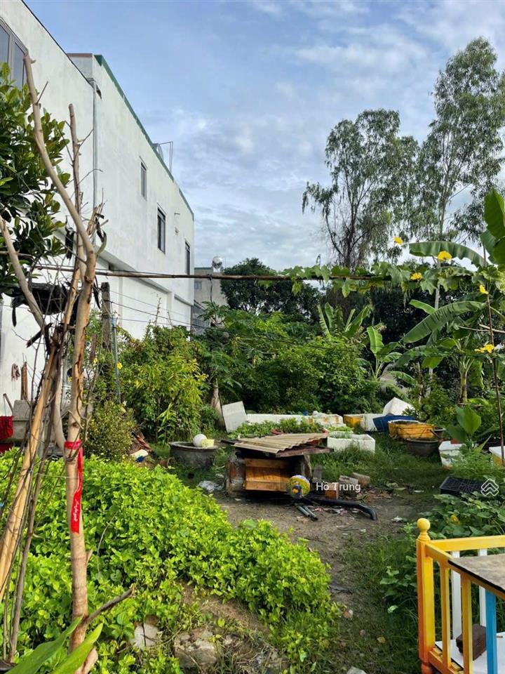 Mảnh đẹp hòn nghê, 505m2 ( 415m2 thổ) ngang 16m, cách biển km 15.6tr/m2