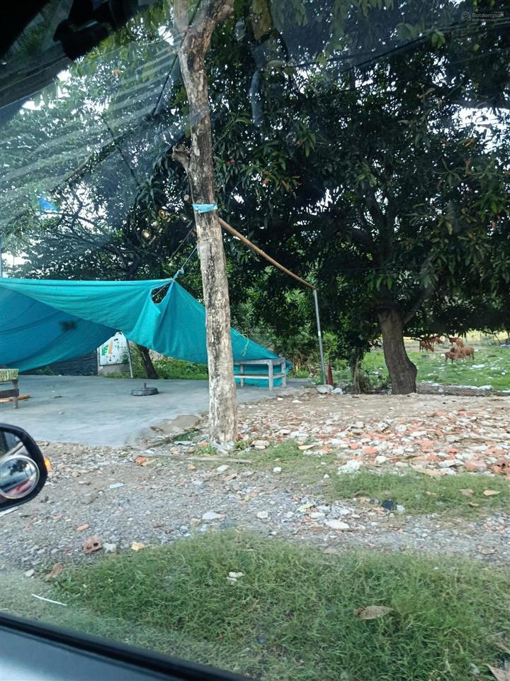 Cho thuê đất diện tích 1000m2 tọa lạc ngay mặt tiền võ nguyên giáp chỉ 20 triệu/tháng
