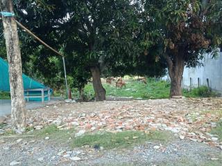 Cho thuê đất diện tích 1000m2 tọa lạc ngay mặt tiền võ nguyên giáp chỉ 20 triệu/tháng