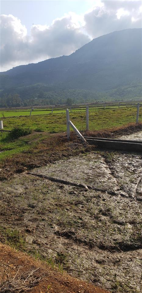 Bán đất ruộng mặt tiền đường tại diên điền 2200m2. giá 400tr