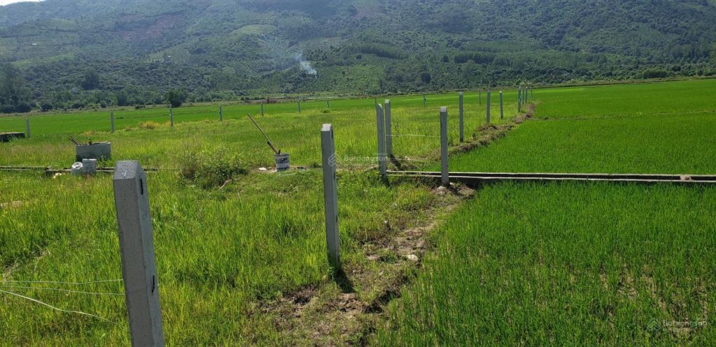 Bán đất ruộng mặt tiền đường tại diên điền 2200m2. giá 400tr