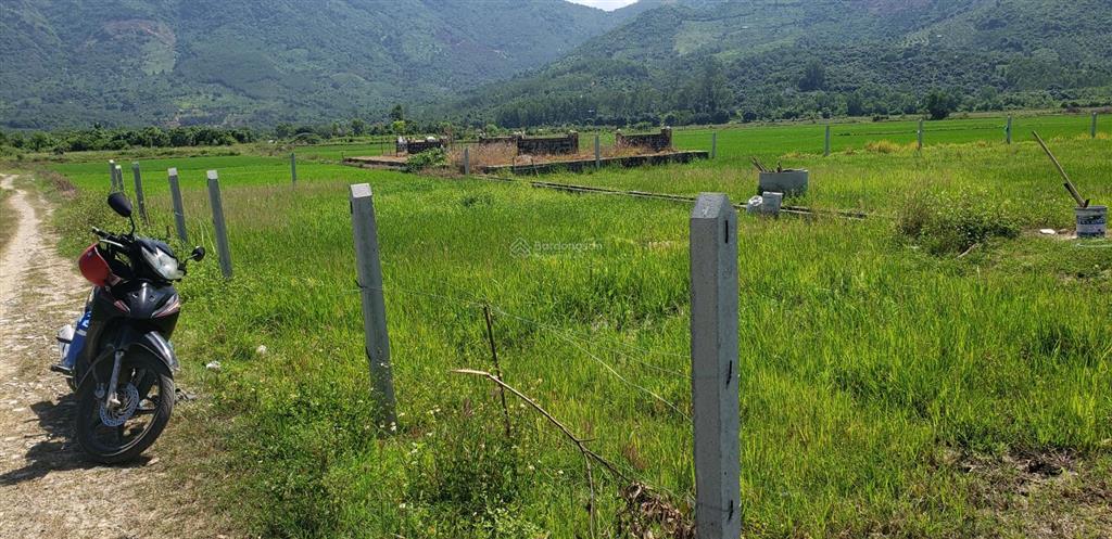 Bán đất ruộng mặt tiền đường tại diên điền 2200m2. giá 400tr
