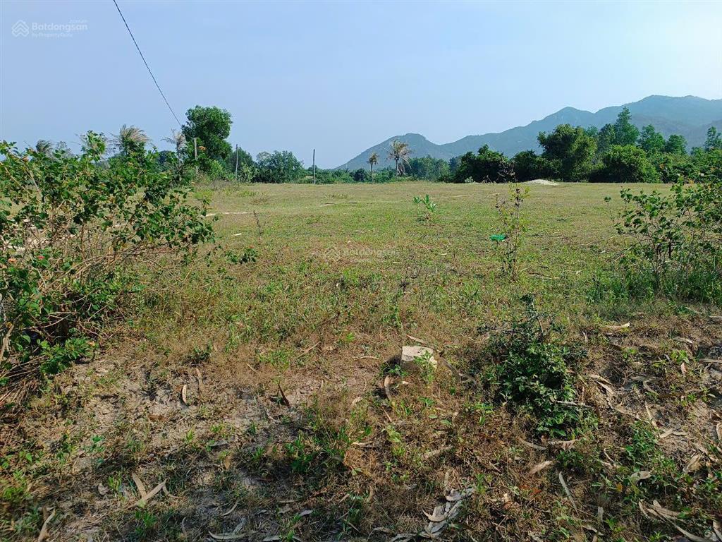 Bán đất hợp thổ hòa do 1b, cam phúc bắc, bắc cam ranh, quy hoạch đường lớn, dt 1897.1 m2 ngang 30m