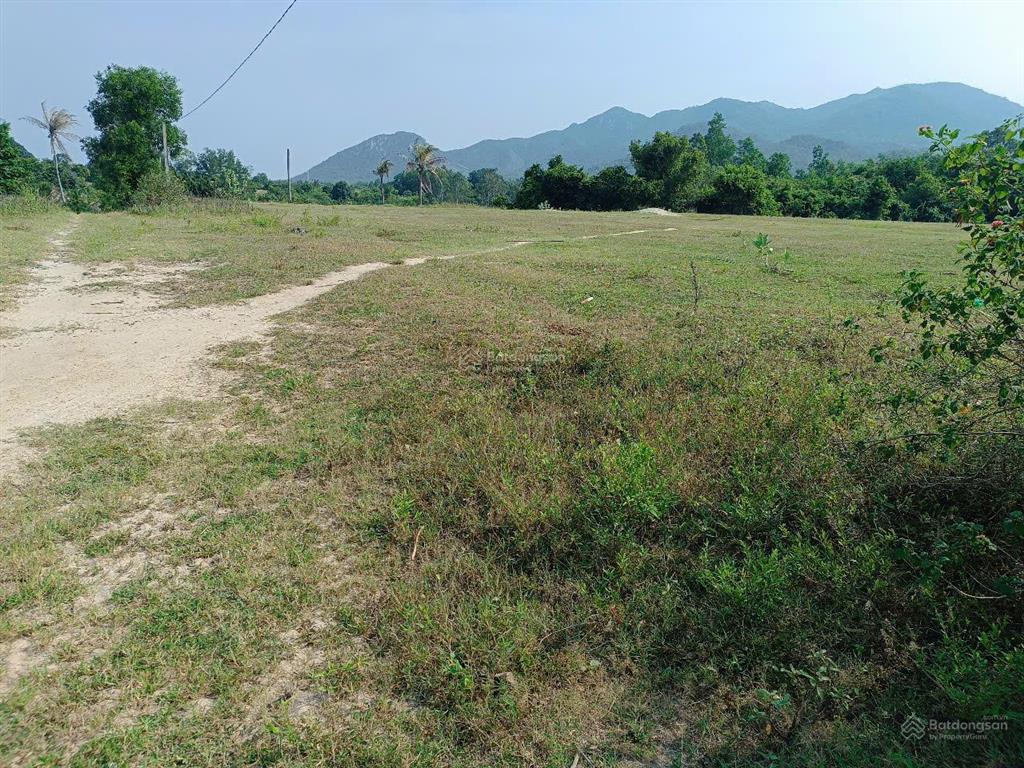 Bán đất hợp thổ hòa do 1b, cam phúc bắc, bắc cam ranh, quy hoạch đường lớn, dt 1897.1 m2 ngang 30m