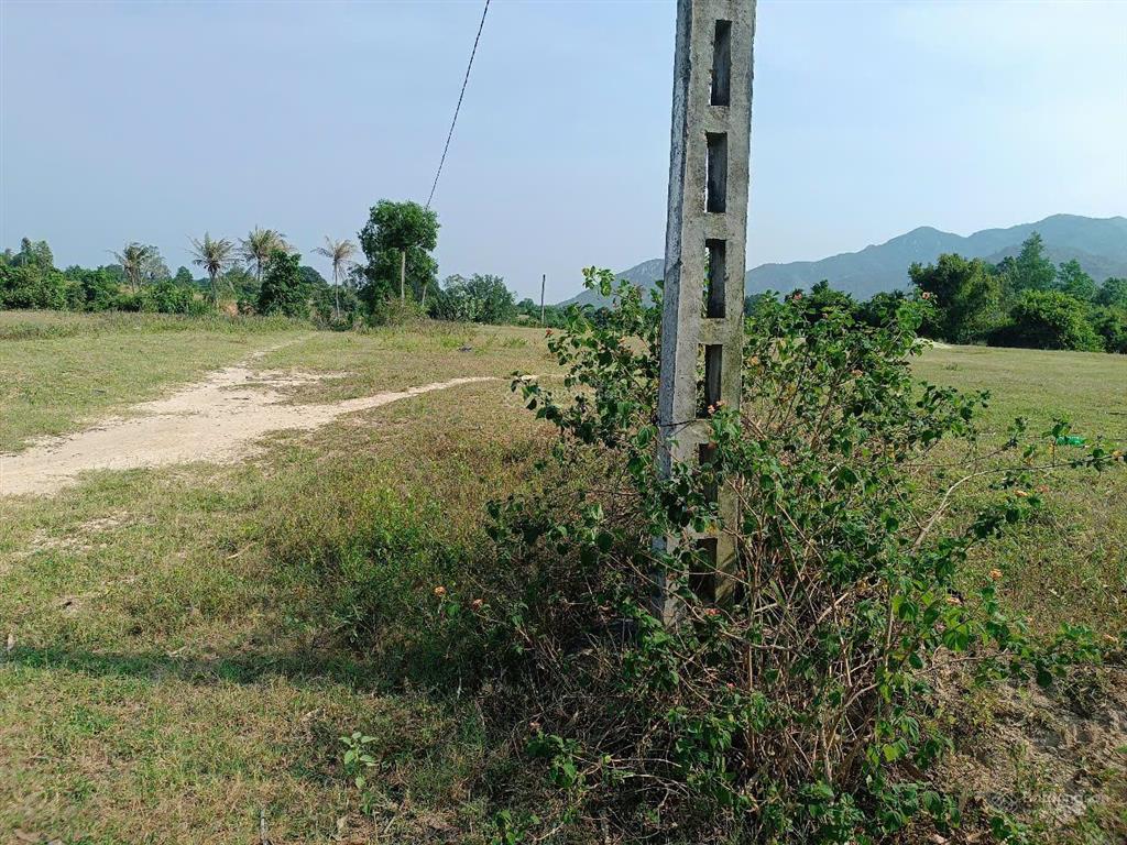 Bán đất hợp thổ hòa do 1b, cam phúc bắc, bắc cam ranh, quy hoạch đường lớn, dt 1897.1 m2 ngang 30m