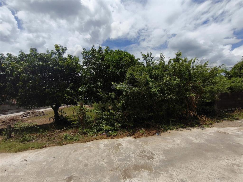 Bán đất phước hạ, phước đồng, nha trang 271,7m2 ngang 12m đường ô tô giá 4,2 tỷ