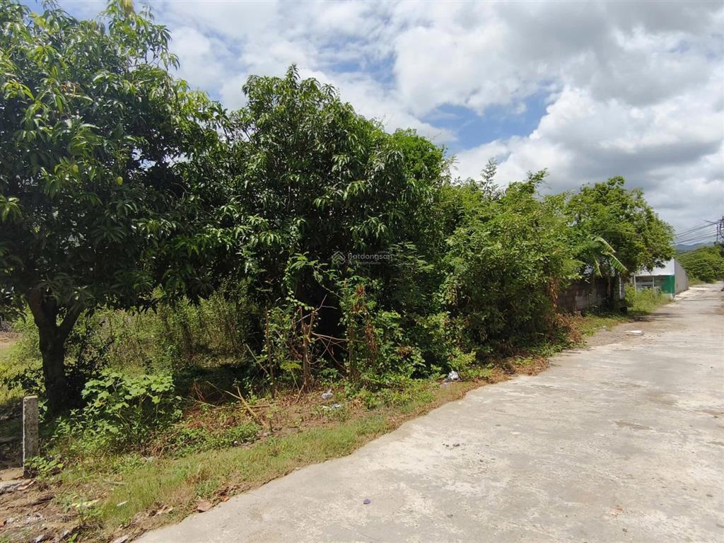 Bán đất phước hạ, phước đồng, nha trang 271,7m2 ngang 12m đường ô tô giá 4,2 tỷ