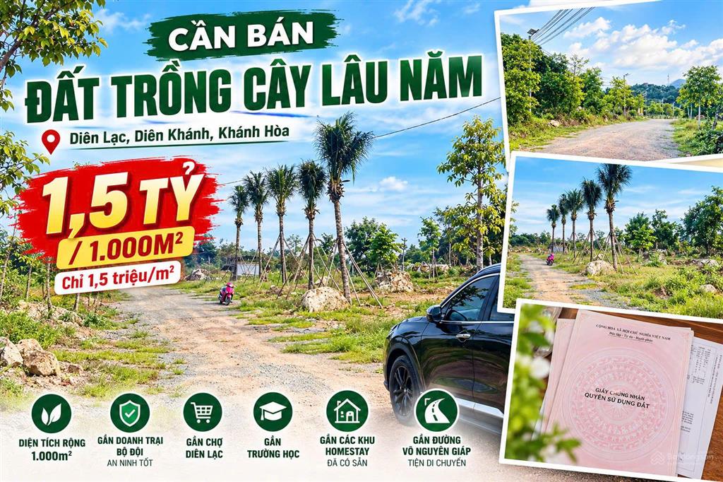 Đất vườn giá tốt sổ sẵn thanh toán 6 tháng tại diên lạc
