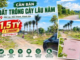 Đất vườn giá tốt sổ sẵn thanh toán 6 tháng tại diên lạc