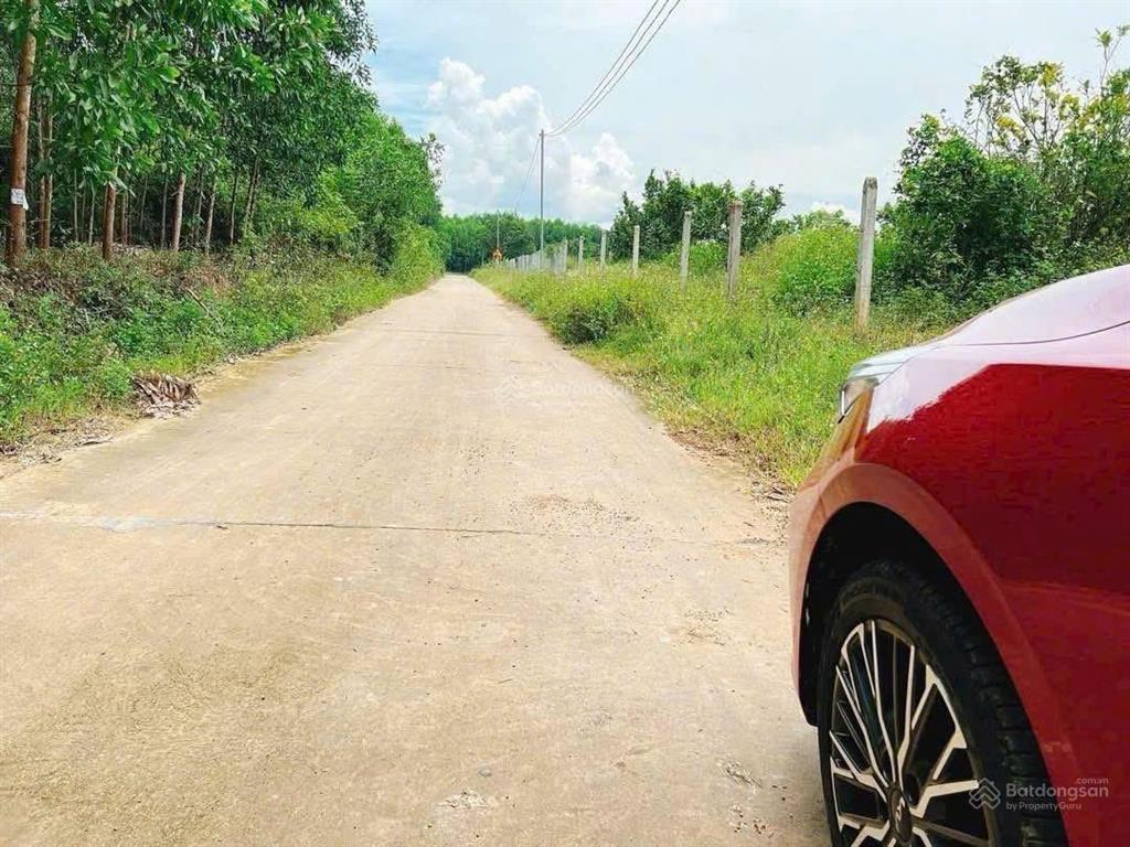 Bán 6.567m² đất tại khánh đông, khánh vĩnh, ngay khu dân cư, lập vườn, nghỉ dưỡng, giá siêu rẻ 2tỷ3
