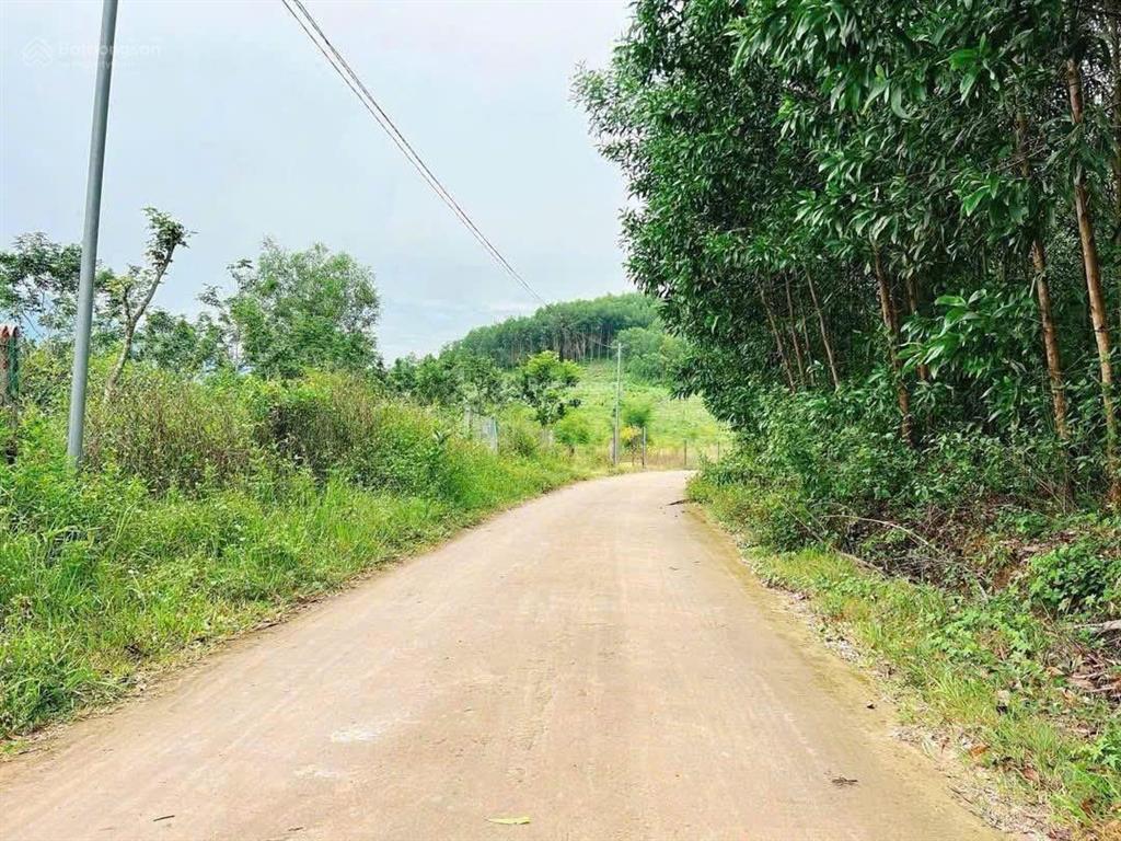 Bán 6.567m² đất tại khánh đông, khánh vĩnh, ngay khu dân cư, lập vườn, nghỉ dưỡng, giá siêu rẻ 2tỷ3